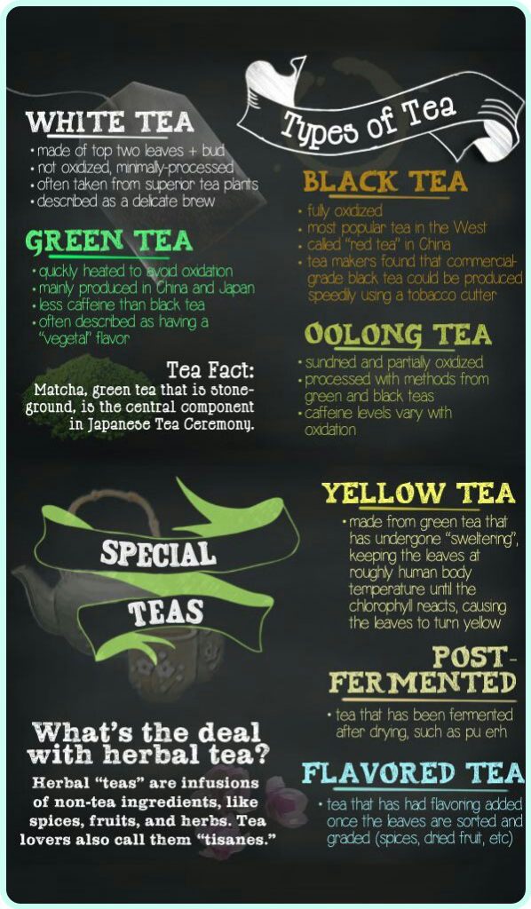 Fundamentals of Tea What Is Tea? What Are the Different Types of Tea?