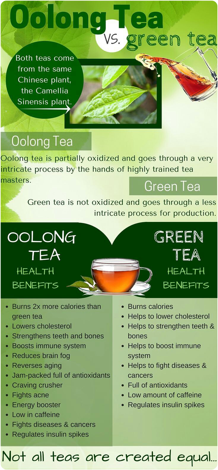 Oolong vs Green Tea
