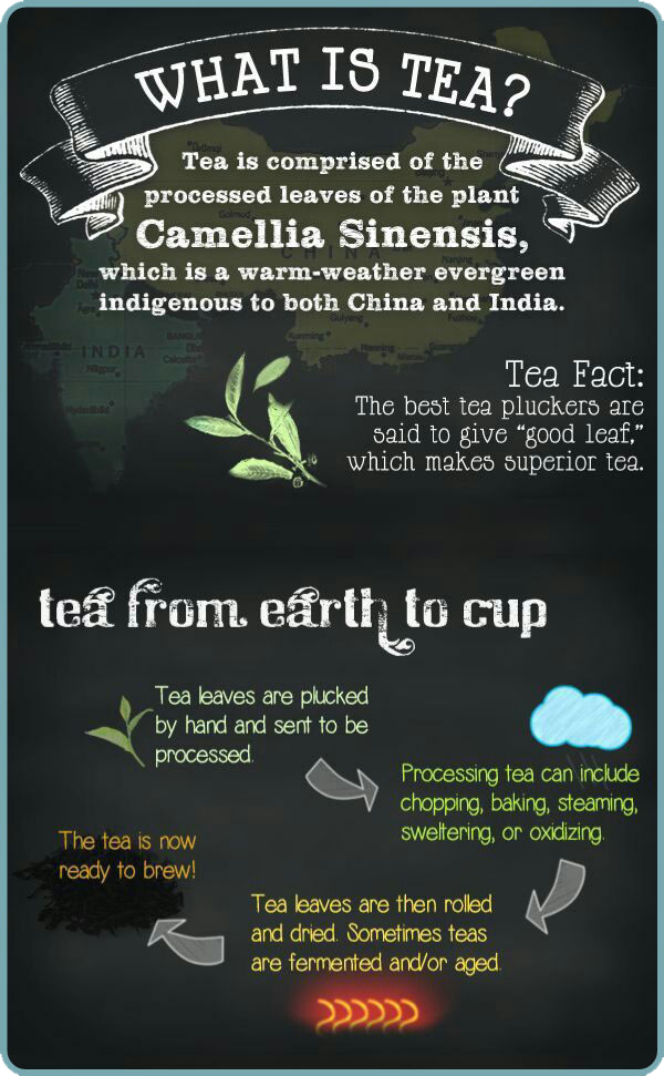 Fundamentals of Tea 1